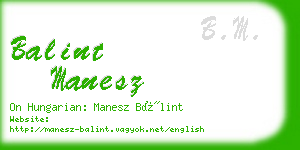 balint manesz business card